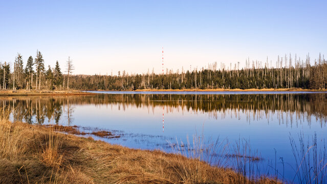 Lake in the forest of the Harz mountains in Lower Saxony, Germany. Historic Oderteich water reservoir near Sankt Andreasberg, component of the Upper Harz Water Regale.