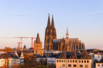 Fototapeta premium Cologne cityscape with Cologne Cathedral at golden hour sunrise, North Rhine Westphalia, Germany.