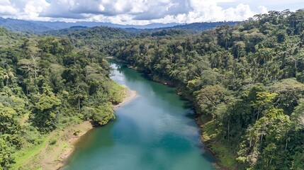 Aerial view of a vibrant green forest with a wide river flowing through it and mountains in the distance