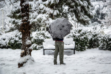 Snow in Mellat Park | Tehran | Iran