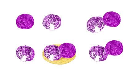 赤キャベツ（紫キャベツ）のセット　フレッシュな野菜の手描き水彩イラスト素材