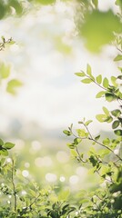 A soft, dreamy blend of natural greenery and a bright summer sky with bokeh accents.