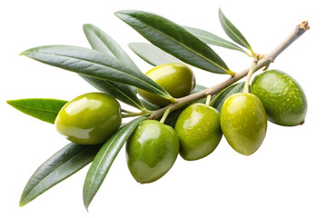 Obraz premium green olives with leaves on a branch image isolated on transparent