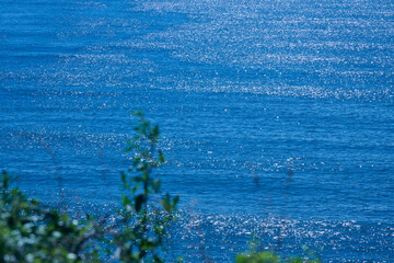 青く輝く夏の海面