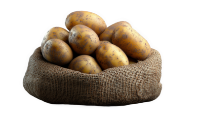 The sack is filled with potatoes