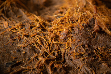 Barrels for natural fermentation of mezcal in artisanal palenques in the Oaxaca region of Mexico.