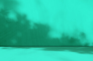 Background green shadow floor studio room photo empty gradient leaf Floor wall backdrop muslin design canvas surface texture podium eco Scene mockup product cosmetic beauty organic display stand.