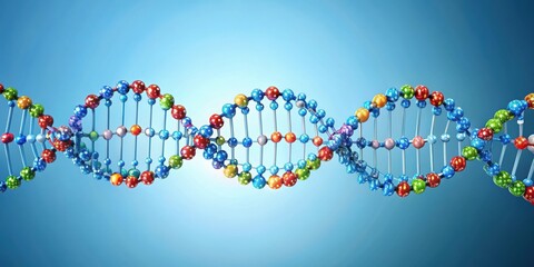 Schematic of DNA double helix structure with labeled nucleotides and base pairs, DNA, double helix