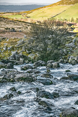 Fototapeta premium Fast-moving water flows over dark rocks in a stream. A small tree lacking leaves is found near the riverbank. The land gently rises to hills.