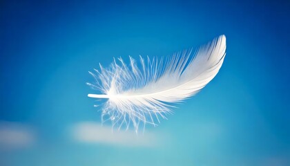 white feathers on blue background