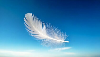 white feathers on blue background