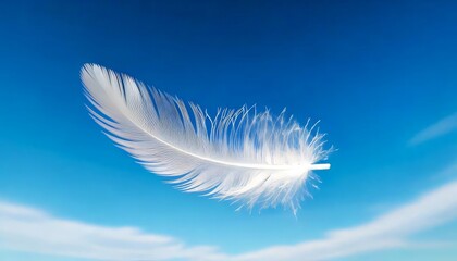 white feathers on blue background