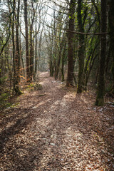 Obraz premium neige,