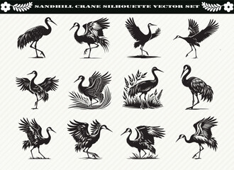 Sandhill Crane Silhouette Vector Set: 12 Designs
