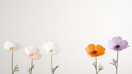 Colorful flowers arranged on white background
