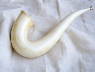 Bone or ivory horn used in Jewish religious ceremonies.