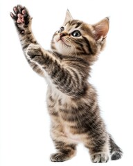A playful kitten reaches for something interesting. Its curious nature shines through. This image captures the joy of cute animals. Generative AI