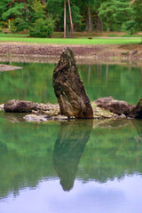 毛越寺庭園・中立石・世界遺産（岩手県・平泉町）