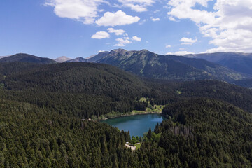 Image of the blacklake located among the pine forests in the province of Artvin.