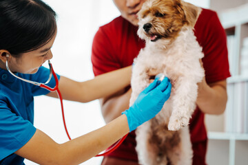A man takes his sick small dog to the vet for a health check at the hospital desk. The veterinarian...