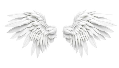 Fototapeta premium White Angel Wings On A Transparent Background