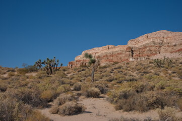 Fototapeta premium Scenic view of Red Rock Canyon State Park