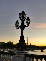 Fototapeta premium Paris Seine Sunset Pont Alexandre III