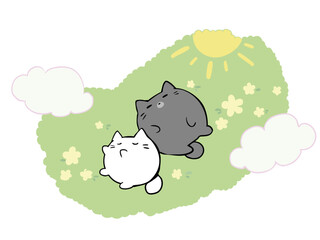 日向ぼっこ うたたね ねこ
