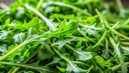 Fototapeta premium Full-frame tilt-shift: vibrant rocket salad, fresh harvest.