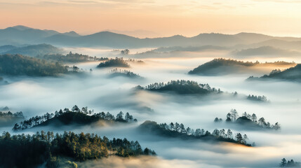 Fototapeta premium Morning mist covers rolling hills with soft, ethereal glow as golden sunrise casts warm light over landscape, creating dreamy and tranquil atmosphere