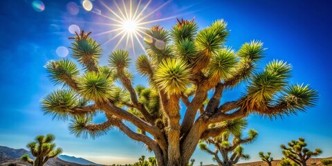 Close-up Joshua Tree Silhouette Against Vibrant Blue Sky, Bokeh Effect