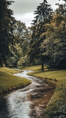 Fototapeta premium Serene Curved River Flowing Through Lush Green Forest Landscape