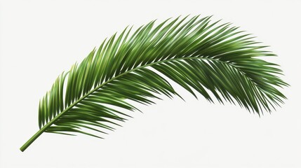 Obraz premium Lush Green Palm Leaf Isolated on White Background for Design Use