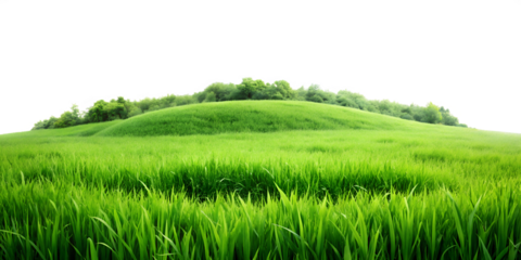 Green Hills panorama landscape png