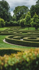 Elegant Topiary Labyrinth with Lush Greenery in Scenic Park