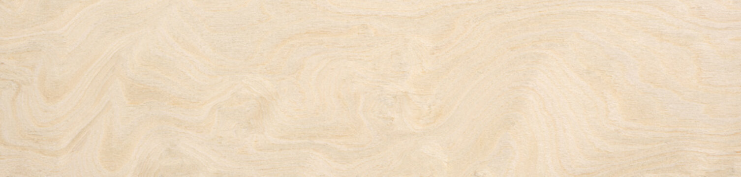 Swirling sands of time captured in wood, a delicate dance of alabaster and cream in nature's design