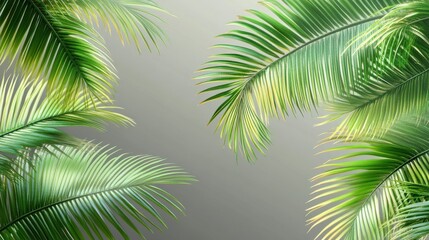 Lush Green Palm Leaves Background with Soft Gray Gradient Effect