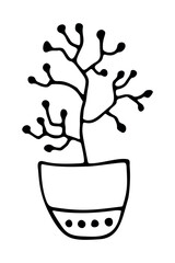Flower in a pot in doodle style isolated on a white background. Doodle. Vector illustration. Perfect for coloring book, greeting card, print, invitation.