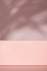 Obraz premium Minimalist pastel background with soft light shadows