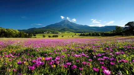 Obraz premium Mountain View, Flower Field, Spring, Idyllic Landscape, Travel Poster