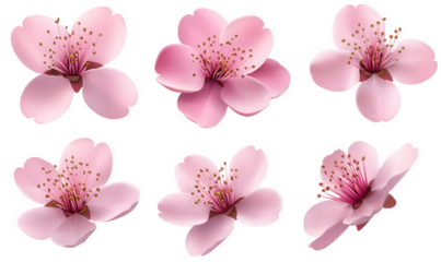 Spring, blooming pink flowers, cherry blossoms, and peach blossoms