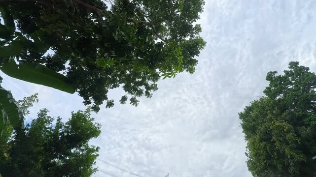 moving cloudes in garden timelapes