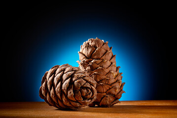 Pine cones on a black background with a blue spot. Artistic defocus.