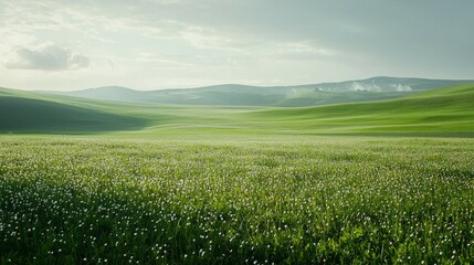 Serene Green Landscape with Gentle Hills and Soft Overcast Sky