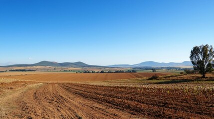 Fototapeta premium Scenic Rural Landscape with Fields and Blue Sky in Background