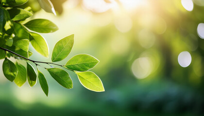 Fresh green leaves on a branch with a softly blurred garden background, capturing the essence of nature  
