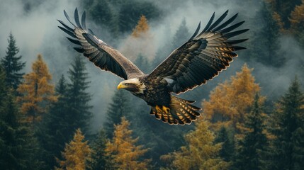 Majestic Golden Eagle soaring through misty forest landscape in autumn, embodying freedom and untamed wilderness