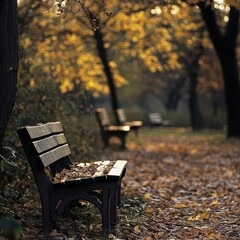 Charming Wooden Benches Inviting Nature Display