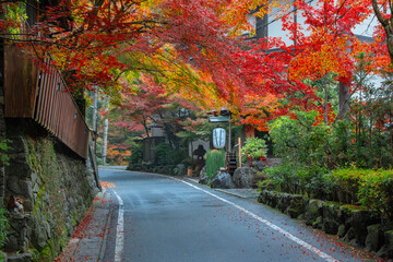 Kibune (Kifune) Suburban Road with Colorful Autumn Scenario in Kyoto, Japan