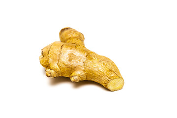 natural ginger root on white background, close up.  ginger root isolate. one natural ginger root.